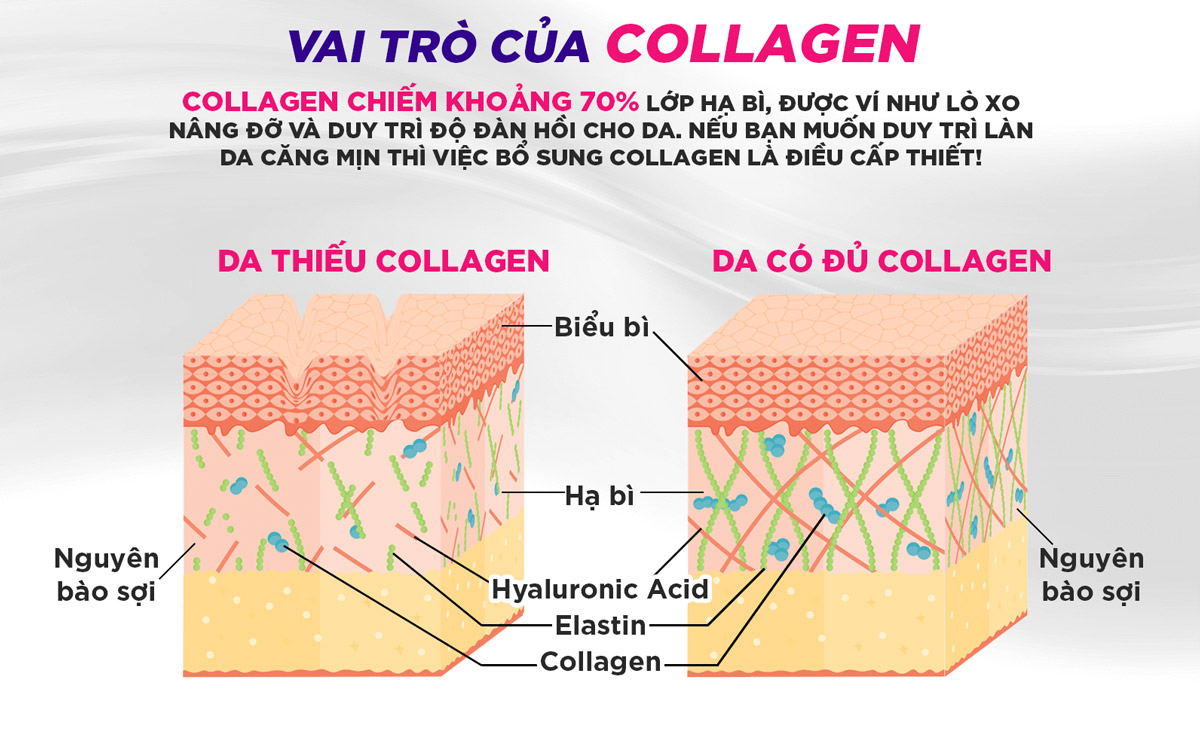 DHC Collagen Beauty Plus bổ sung hàm lượng 7000mg collagen cần thiết cho làn da.