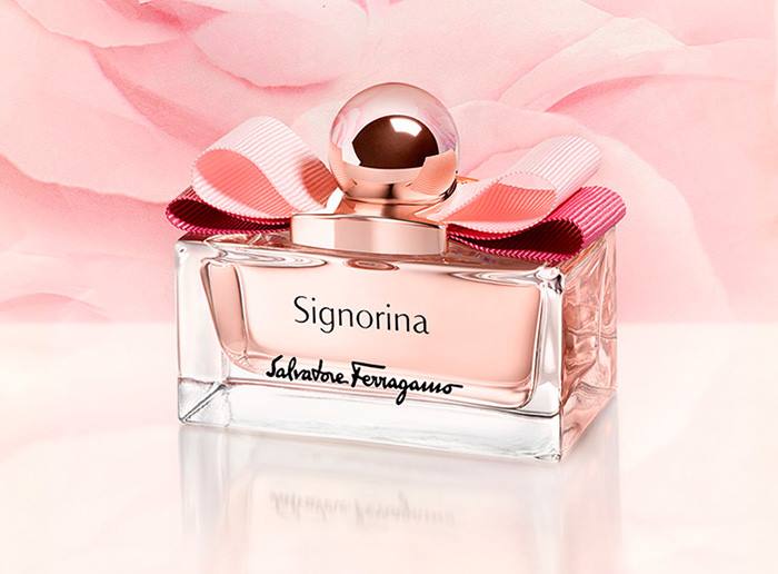 Signorina 100ml 2024